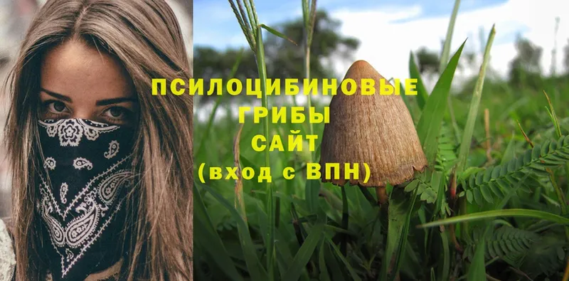 Галлюциногенные грибы Magic Shrooms  blacksprut   Курганинск 